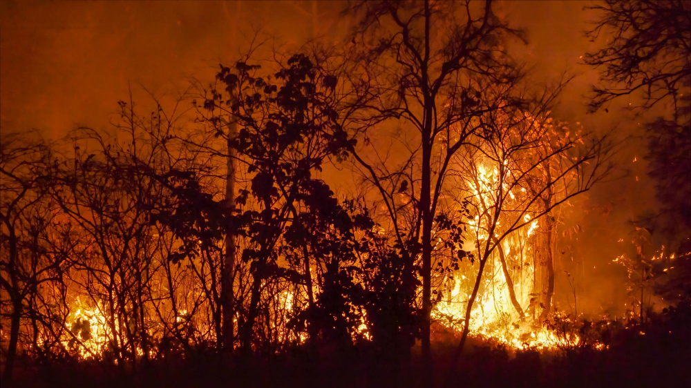 Klimatické zmeny zvyšujú riziko ničivých požiarov v Južnej Amerike