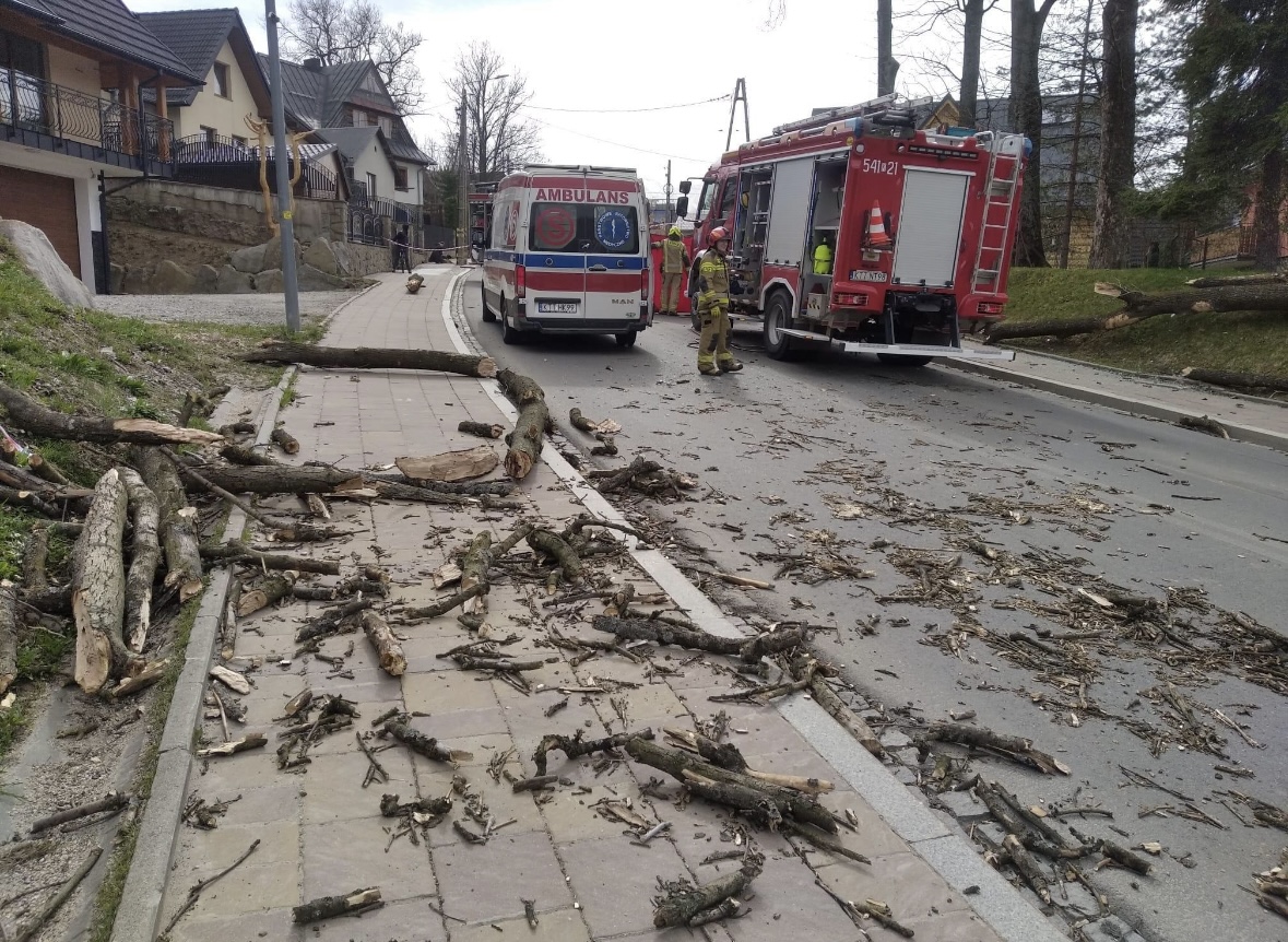 Tragédia v Poľsku: Silný vietor spôsobil pád stromov a tragické úmrtia
