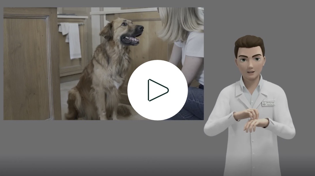 Zrozumiteľné lieky v posunkovom jazyku